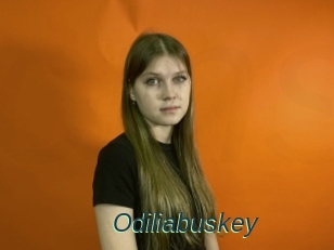 Odiliabuskey