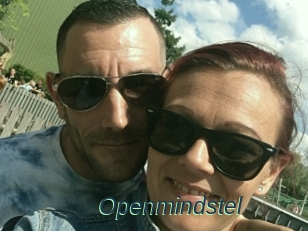 Openmindstel