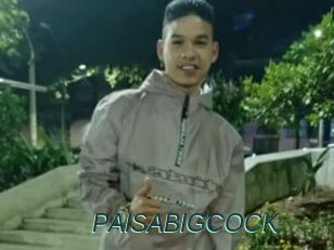 PAISABIGCOCK