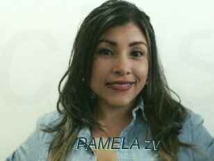 PAMELA_zv