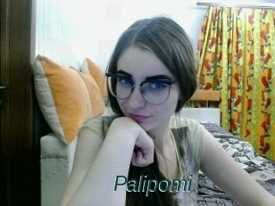 Palipomi