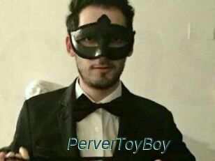 PerverToyBoy