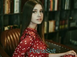 PolinaSoft