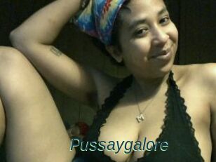 Pussaygalore
