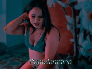 Pamelamrtinn