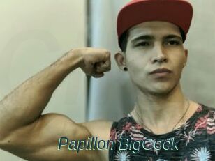 Papillon_BigCock