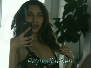 Paynadiavixen