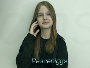 Peacebigge