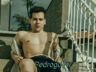 Pedrogolfer