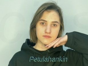 Petulahankin