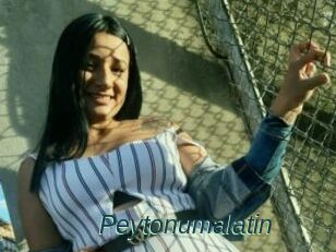Peytonumalatin