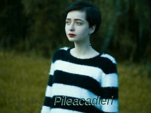 Pileacadieri