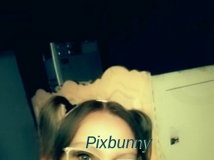 Pixbunny