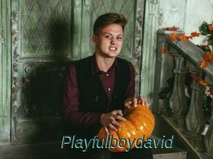 Playfulboydavid