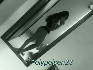 Polypolsen23