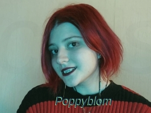 Poppyblom
