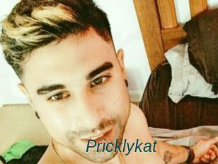 Pricklykat