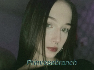 Primrosebranch