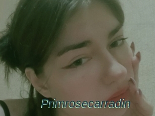 Primrosecarradin