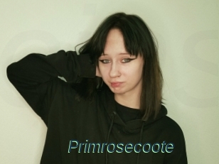 Primrosecoote