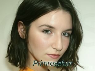 Primrosefurr
