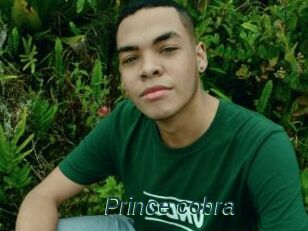 Prince_cobra