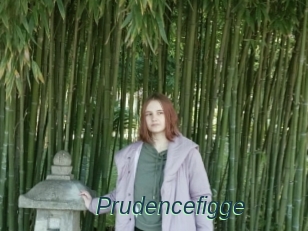 Prudencefigge