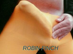 ROBIN_FINCH