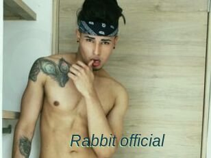 Rabbit_official