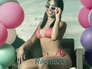 Rileynacci