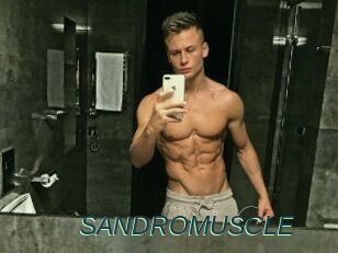 SANDRO_MUSCLE