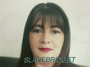 SLAVEBRIDGET