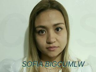 SOFIA_BIGCUMLW