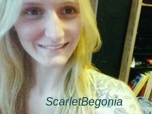 ScarletBegonia