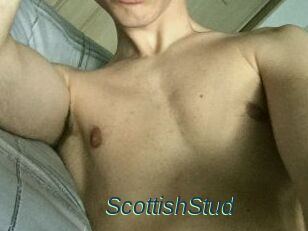 Scottish_Stud