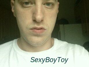 SexyBoyToy