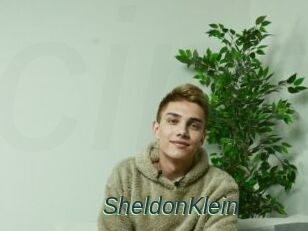 SheldonKlein