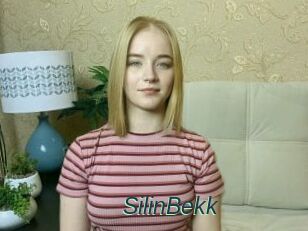 SilinBekk