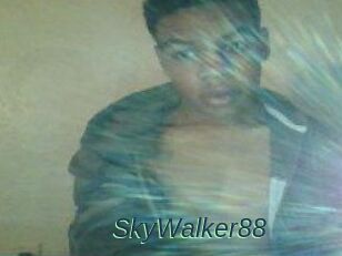 SkyWalker88