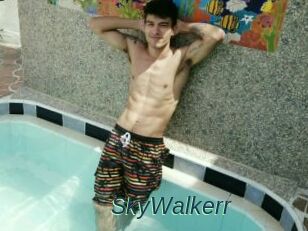 SkyWalkerr