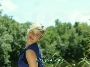 SniceBes