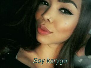 Soy_karygo