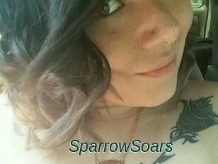 SparrowSoars