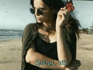 SpiceCatty