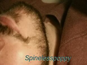Spinelesspoppy