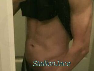 StallionJace