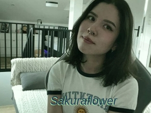 Sakuraflower