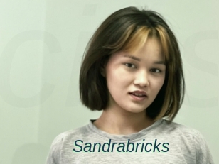 Sandrabricks