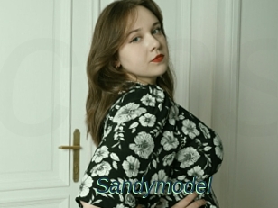 Sandymodel