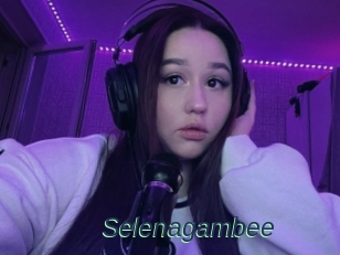 Selenagambee